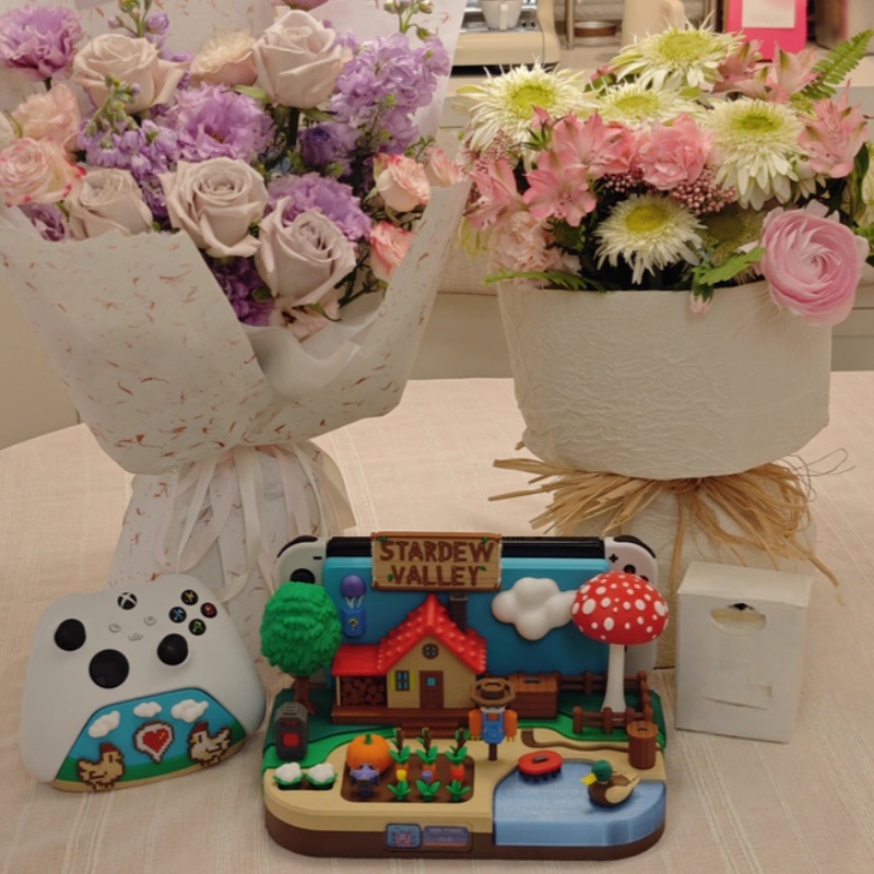 حامل شحن زخرفي بتصميم Stardew  - مراجعة Gaming Console Stand وسعره